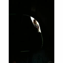 Coleman Valdes Deluxe 4xl Air Blackout Tent -Outdoorworlddirect Sales Store 2000037563 16